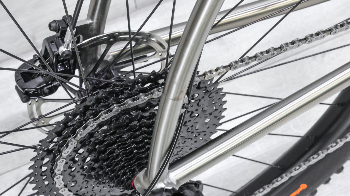 Carver Newsboy Titanium Mountain Bike - 2022, X-Large