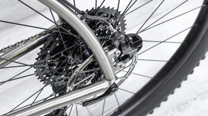 Carver Newsboy Titanium Mountain Bike - 2022, X-Large