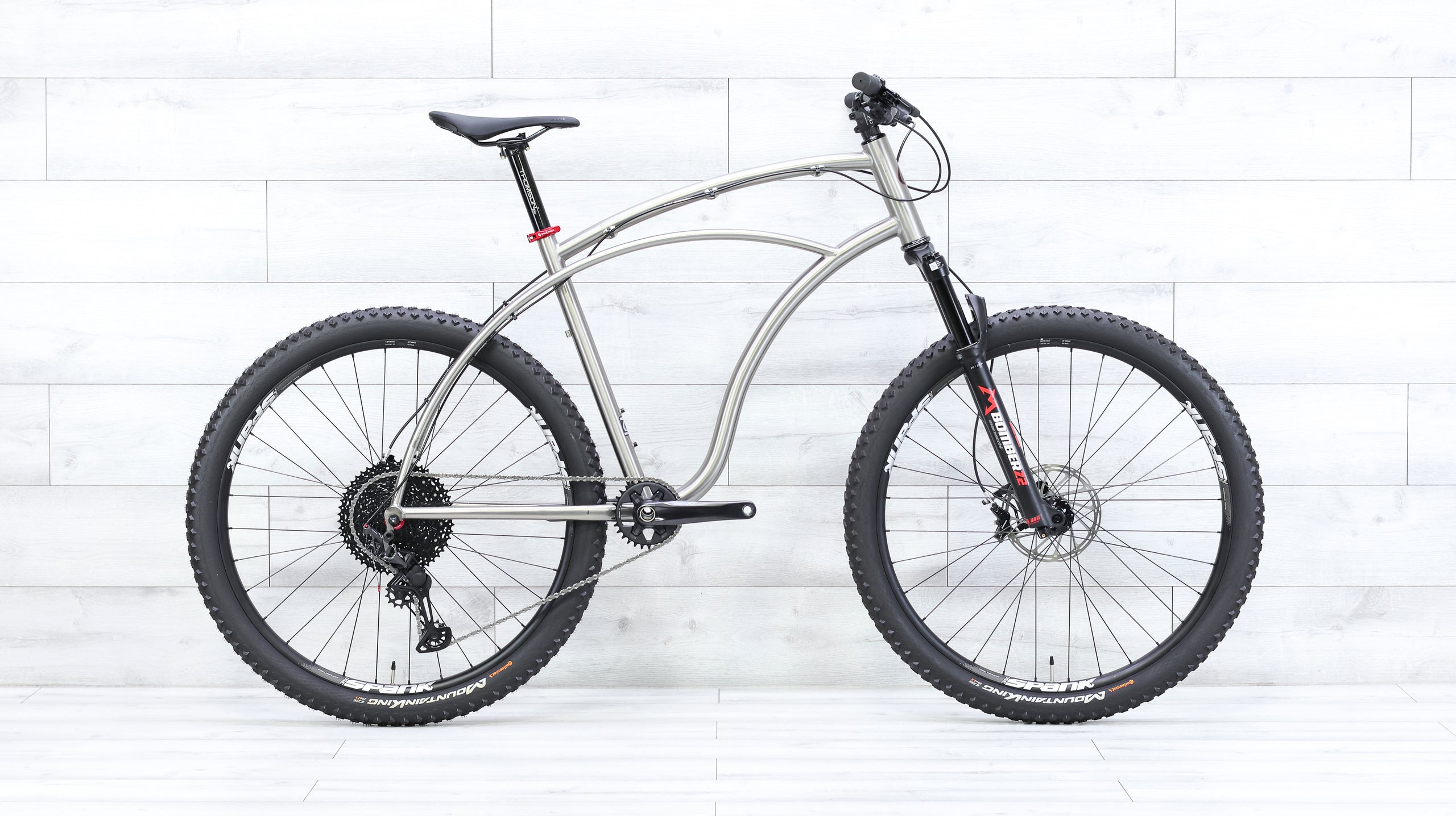 Carver Newsboy Titanium Mountain Bike