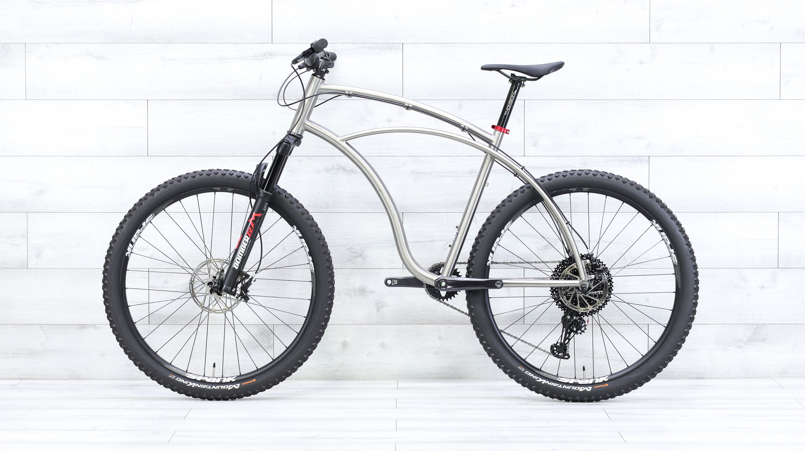 e bike mountainbike carver Carver Newsboy Titanium Mountain Bike