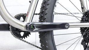 Carver Newsboy Titanium Mountain Bike - 2022, X-Large