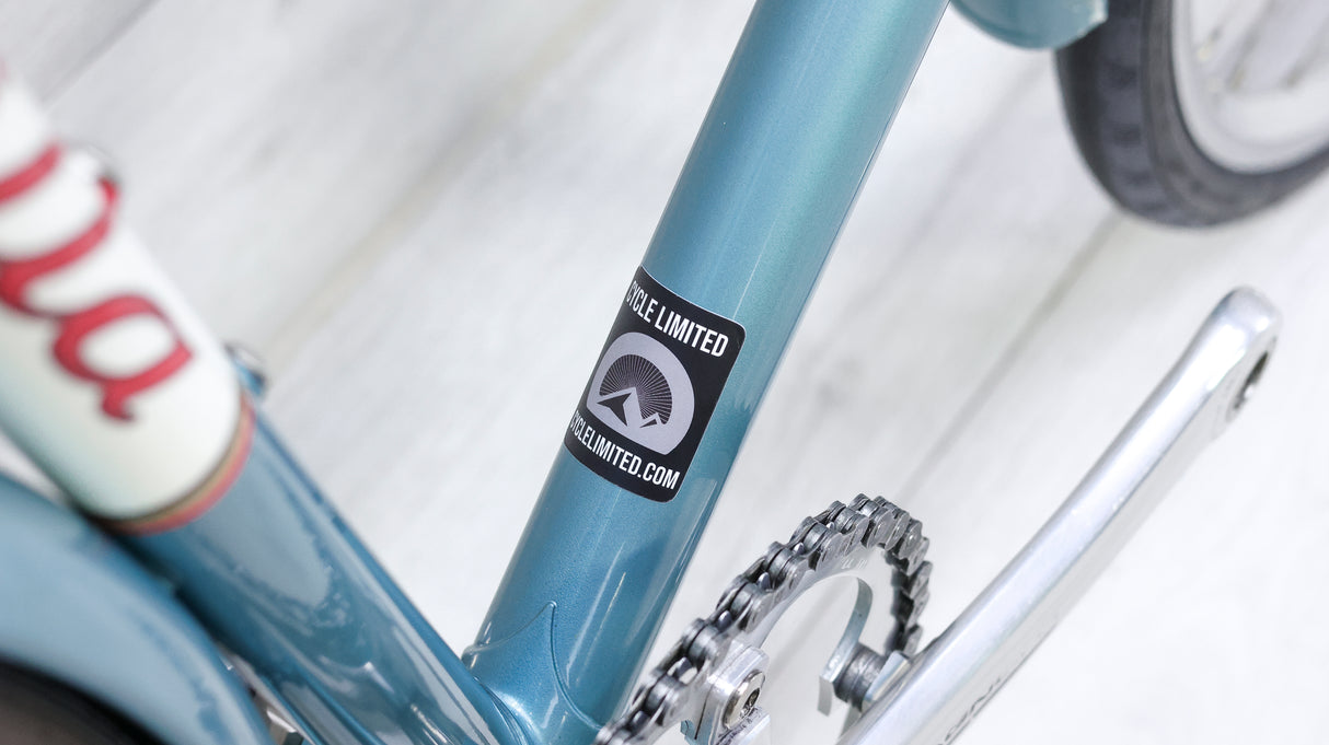 Vanilla Workshop SingleSpeed Road Bike - 2009, X-Large