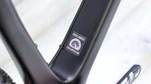 Spot Rocker SS Singlespeed Mountain Bike - 2023, Large