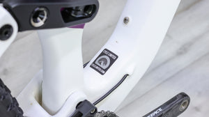 Orbea Rallon Mountain Bike - 2022, Large