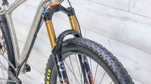 Litespeed Pinhoti III XX1 Titanium Mountain Bike - 2025, Large