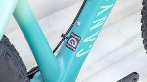 Canyon Dude CF 8 Fat Bike - 2024, Medium