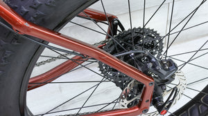 Salsa Mukluk Carbon GX Fat Bike - 2017, Medium