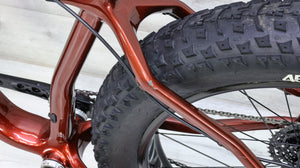 Salsa Mukluk Carbon GX Fat Bike - 2017, Medium