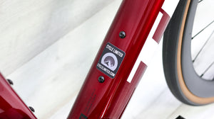 Trek Madone SL 6 AXS Gen 8 Road Bike - 2025, Medium