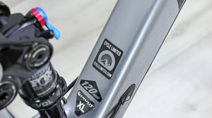 Pivot Trail 429 Ride SLX Mountain Bike - 2024, X-Large