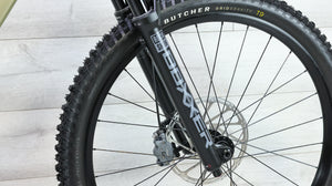 Specialized Status 2 170 DH Mountain Bike - 2024, Large (S4)