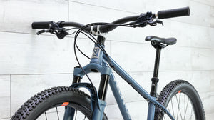 Neuhaus Metalworks Hummingbird Steel Mountain Bike - 2024, Medium