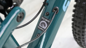 Santa Cruz Tallboy XX1 Reserve Carbon CC Mountain Bike - 2019, Large
