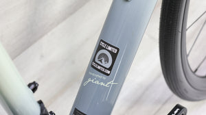 Liv Avail AR 1 Road Bike - 2021, X-Small