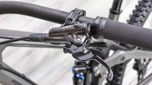 Transition Sentinel Carbon XT Mountain Bike - 2021, Large