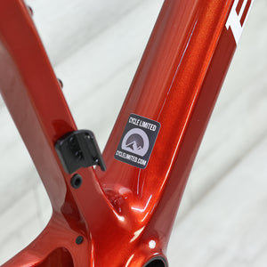 Basso Palta Gravel Bike Frameset - 2024, Medium