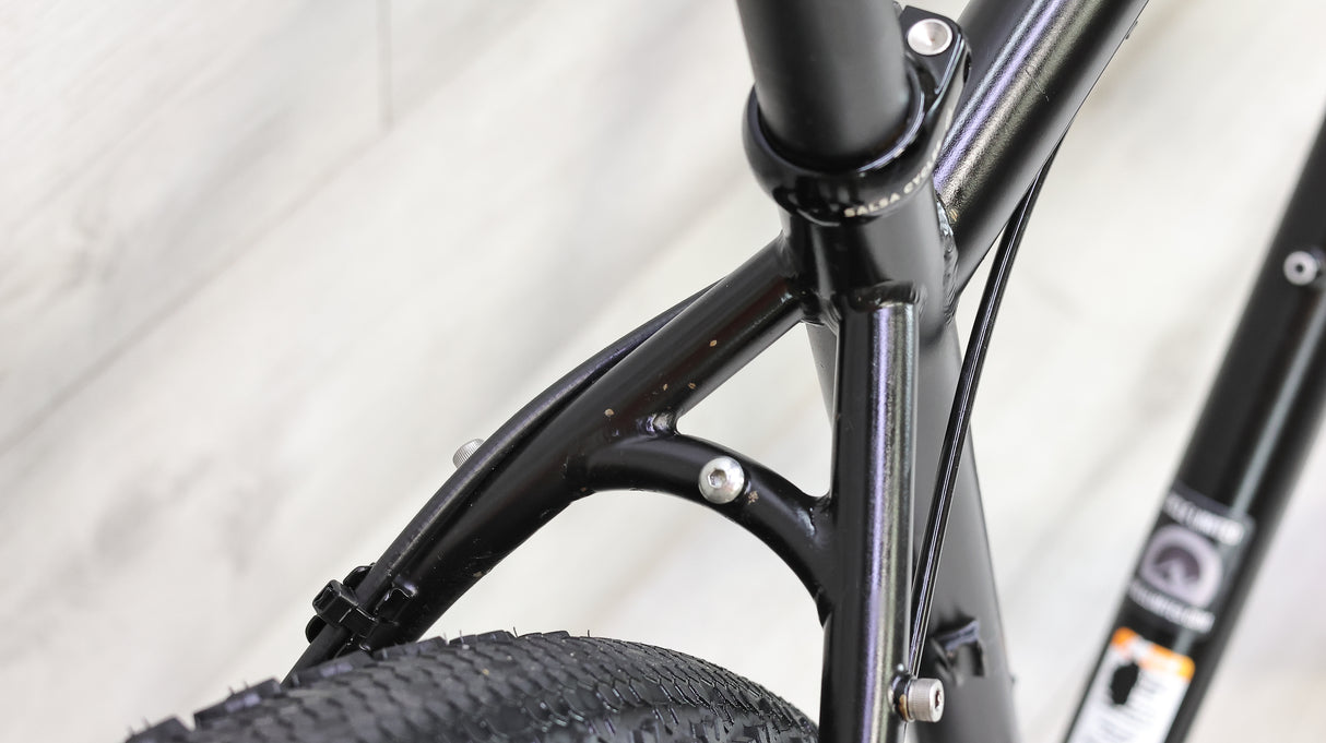 Salsa Fargo Steel Gravel Bike - 2020, Medium