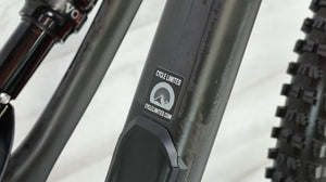 Specialized Stumpjumper ST Comp Carbon 29 Mountain Bike - 2019, Small