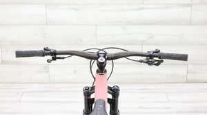 Ari Delano Peak Elite Mountain Bike - 2025, Large