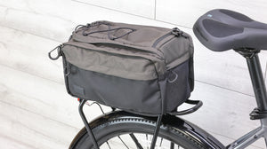 Trek Verve+ 1 Lowstep LT Comfort E-Bike - 2024, Large