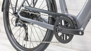 Trek Verve+ 1 Lowstep LT Comfort E-Bike - 2024, Large