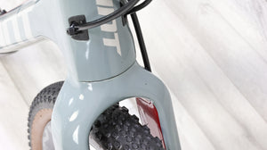 Giant Revolt Advanced 2 Gravel Bike - 2019, Small