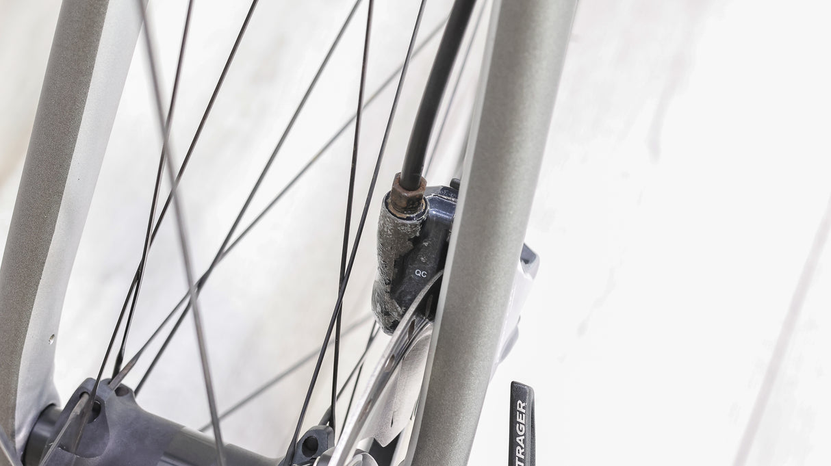 Trek Domane SLR 7 Disc Project One Road Bike - 2019, 58cm