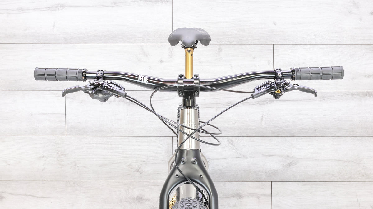 Why Cycles Wayward Titanium Mountain Bike - 2020, Large