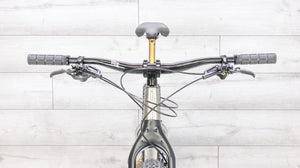Why Cycles Wayward Titanium Mountain Bike - 2020, Large