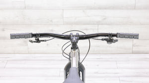 Why Cycles Wayward Titanium Mountain Bike - 2020, Large