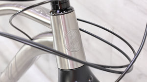 Why Cycles Wayward Titanium Mountain Bike - 2020, Large