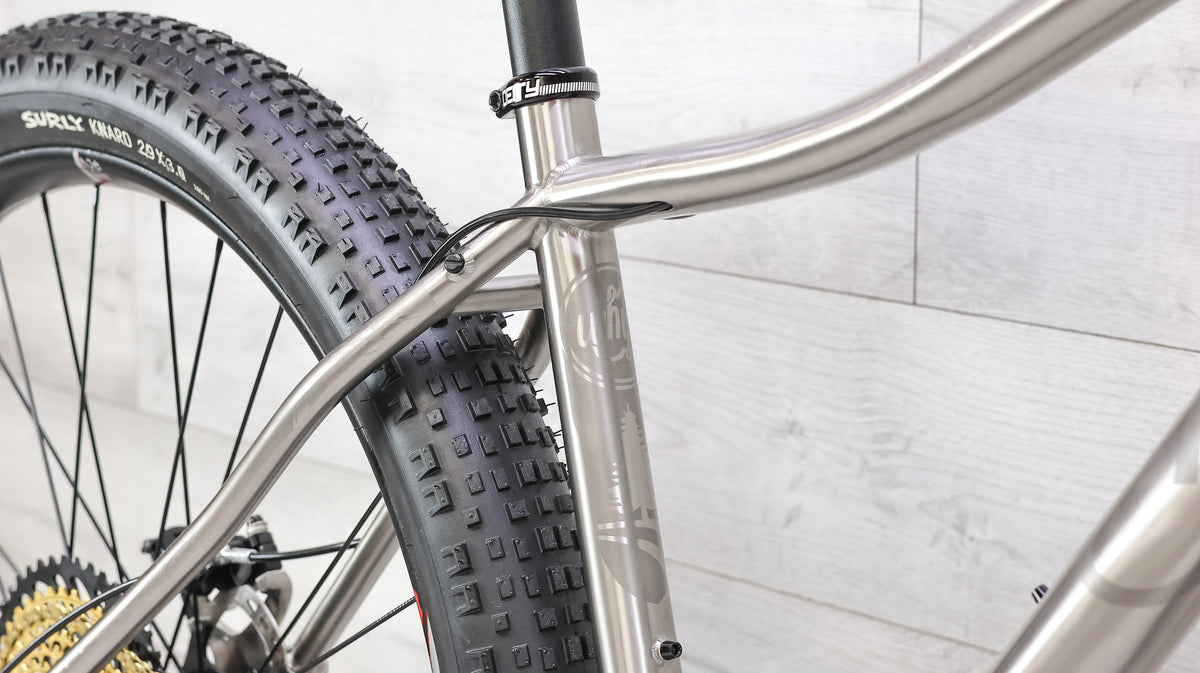 Why Cycles Wayward Titanium Mountain Bike - 2020, Large