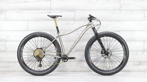 Why Cycles Wayward Titanium Mountain Bike - 2020, Large