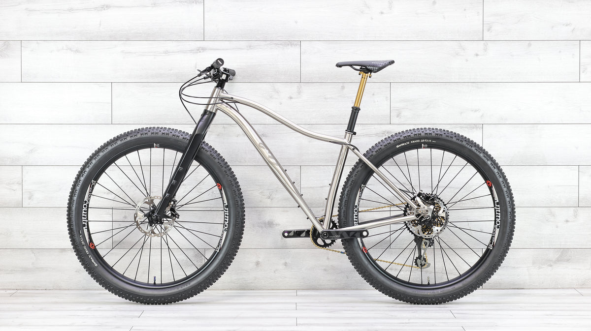 Why Cycles Wayward Titanium Mountain Bike - 2020, Large