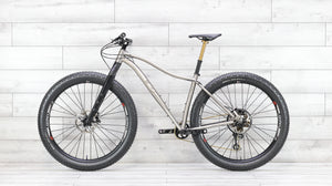 Why Cycles Wayward Titanium Mountain Bike - 2020, Large