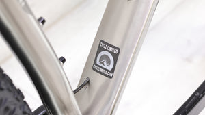 Why Cycles Wayward Titanium Mountain Bike - 2020, Large