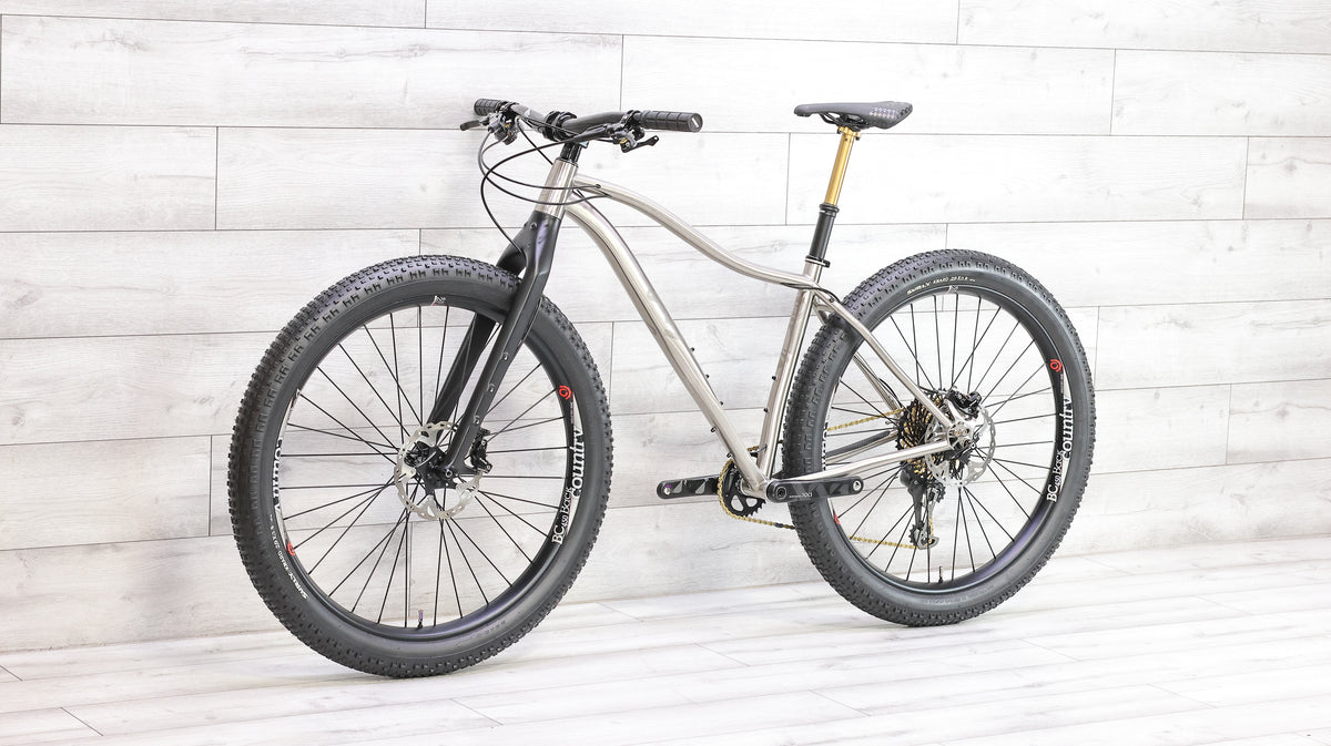Why Cycles Wayward Titanium Mountain Bike - 2020, Large