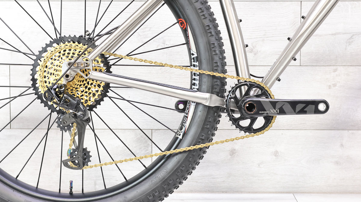 Why Cycles Wayward Titanium Mountain Bike - 2020, Large