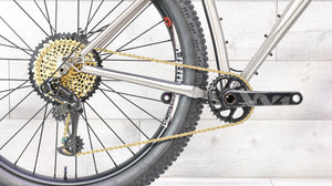 Why Cycles Wayward Titanium Mountain Bike - 2020, Large