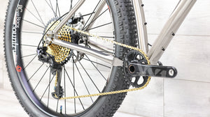 Why Cycles Wayward Titanium Mountain Bike - 2020, Large