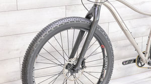 Why Cycles Wayward Titanium Mountain Bike - 2020, Large