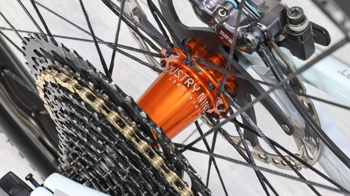 Devinci Django GX AXS NOBL Berd Carbon Wheels Mountain Bike - 2021, Large