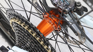 Devinci Django GX AXS NOBL Berd Carbon Wheels Mountain Bike - 2021, Large
