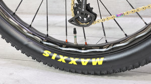 Devinci Django GX AXS NOBL Berd Carbon Wheels Mountain Bike - 2021, Large