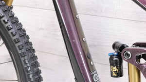 Giant Reign Advanced Pro 1 29 Mountain Bike - 2021, Small