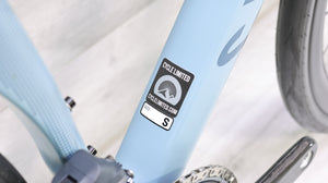 Canyon Endurace CF SLX 8 AXS Road Bike - 2024, Small
