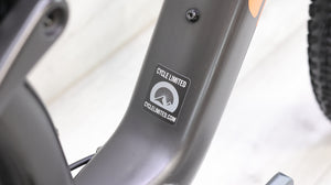 Santa Cruz Blur C TR GX AXS T-Type Mountain Bike - 2023, Large