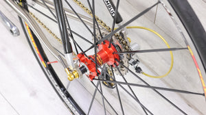 Serotta Fierte Ti Carbon Road Bike - 2006, 53cm