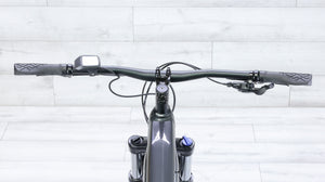 Trek Powerfly 4 Mountain E-Bike - 2022, Medium