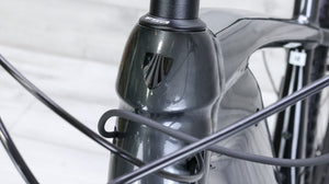 Trek Powerfly 4 Mountain E-Bike - 2022, Medium